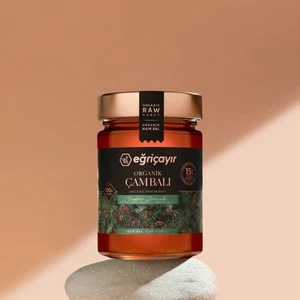 Organik Çam Balı TA15+ 450g