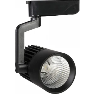 30W Gün Işığı LED Ray Spot Siyah Kasa