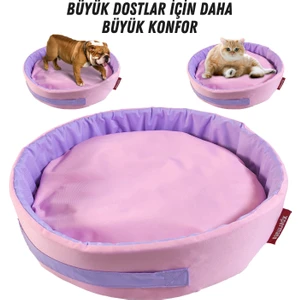 Sünger Simit Köpek Yuvası Küçük Irk Köpek Yatağı ve Kedi Yatağı 55 cm Pembe Lila