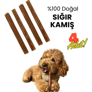 Neobarf Havhav Köpek Ödül Kemiği 4 Adet Doğal Dana Kamış Köpek Çiğneme Çubuğu 15 Cm Köpek Ödül Maması