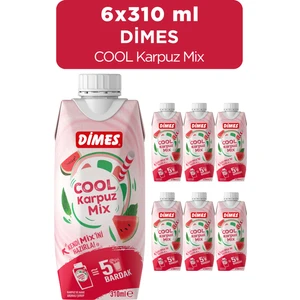 Cool Karpuz Mix 310ml 6 Adet