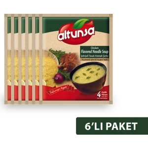Hazır Çorba Şehriyeli Tavuk 6 Lı 60 gr