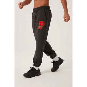 Erkek Jogger 3 İplik Eşofman Altı Antrasit
