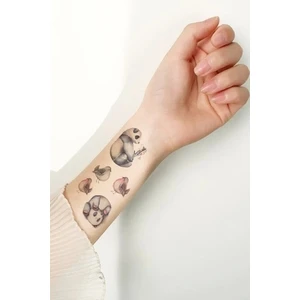 Karışık Panda Geçici Dövme Tattoo