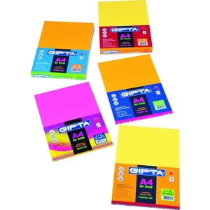 Fotokopi Kağıdı Renkli A4 Neon -100 100 Lük Paket (5*20 Yp. ) 1530