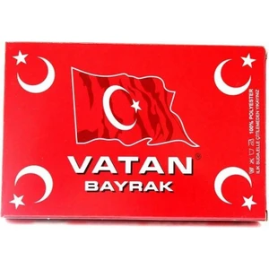 Vatan Bayrak Polyester 200X300