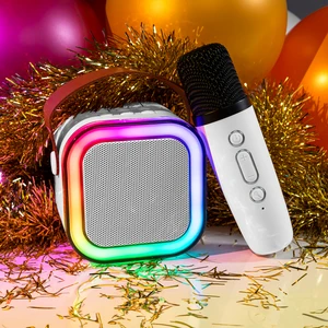 Karaoke Mikrofonlu Hoparlör
