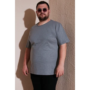 Pamuklu Regular Fit Büyük Beden T Shirt Erkek T Shirt 59020001B