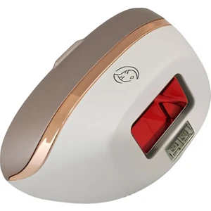 Brı 921  Yüz Başlığı