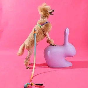 Gradient / Köpek Gezdirme Tasması