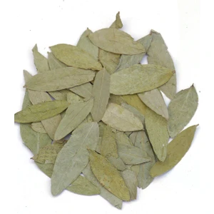 Çayda Bitki Sinameki 100g