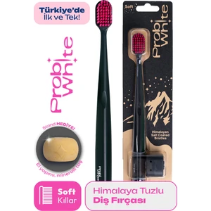 Probi White Probiwhite Himalaya Tuzlu Diş Fırçası (Siyah) + Özel Tasarım Taş Stant