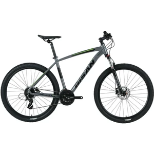 Mtx 7300 29 19-48 Hd Dağ Bisikleti Metalik Gri-Yeşil