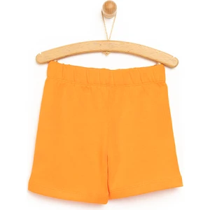 Basic Şort Erkek Bebek