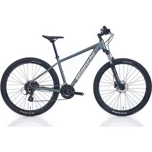 Magma 29.1 Altus 29'' 24V Hd Dağ Bisikleti - Gümüş 48CM