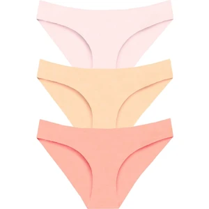 301 Kadın Dikişsiz Lazer Bikini Külot Paketi 301-V2