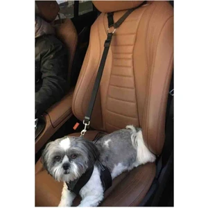 Evcil Hayvan Araç Emniyet Kemeri Kedi Köpek Oto Emniyet Tasması