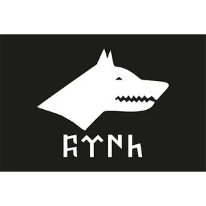 Bayrak Online 70X105CM Raşel Siyah Göktürk Bayrağı