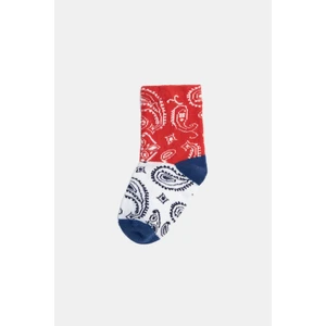 Erkek Bebek Desenli Çorap 23PSSBG1025