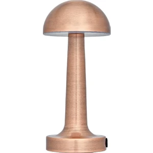 CT-8430 Lizbon Şarjlı Masa Lambası