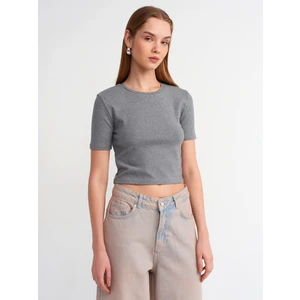 30995 Crop T-Shirt-Antrasit