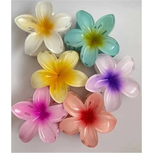 Dzc Kuzenler Avm Rengarenk Lotus Çiçeği Mandal Toka 6'lı