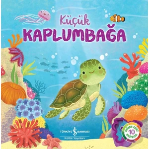 Küçük Kaplumbağa - Wednesday Jones