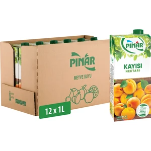 Meyve Nektarı Kayısı 1 L x 12 Adet