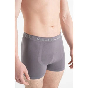Erkek Gri Iç Giyim Modal Boxer