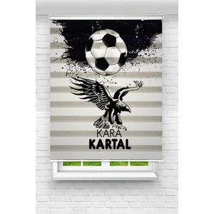 Akel Collection Şampiyon Kara Kartal Baskılı Zebra Perde