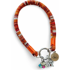 Jespawty Jesspecial Turuncu Ip Kedi Köpek Kolyesi Charm Uçlu Gümüş Rengi