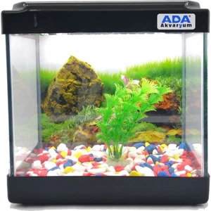 Ada Akvaryum Mini Akvaryum Siyah 20X20X15 Akvaryum  Renkli Çakıl  Plastik Bitki Arka Fon