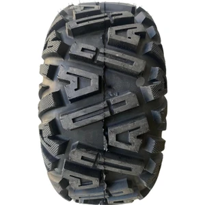 22X10-10 Silvermax Atv Arka Lastiği 6 Kat BL-780