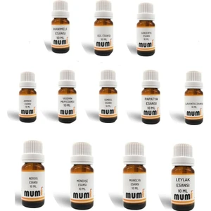 Mum Esansları Seti Bahar Çiçekleri 10 ml 12 Adet
