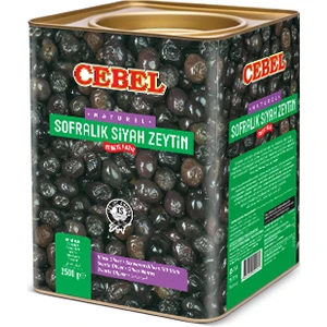 S.zeytin 3500 gr Teneke (Xs | 321-350)