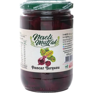 Pancar Turşusu 670 gr