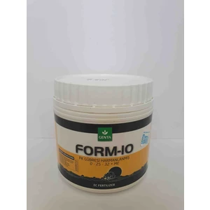 Form 10 Genta