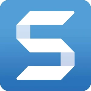 TechSmith Snagit 13 Windows - 1 PC Lifetime/Ömür Boyu Kalıcı Lisans