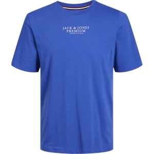 Jack & Jones Jprbluarchıe Ss Tee Crew Erkek T-Shirt