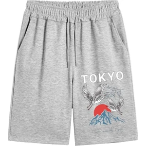 Punıx Büyük Beden  Tokyo Baskılı Battal Tam Yazlık Gri Erkek Şort
