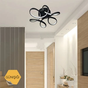 Asva Design Begonya Siyah Modern Plafonyer Günışığı Ledli Avize