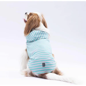 Aqua Sunny Kapşonlu Kedi Köpek Tişörtü