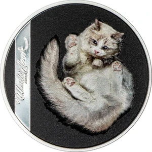 Underlook  Under Cat 2024 1 Ons 31.10 Gram Gümüş Sikke Coin (999.9)