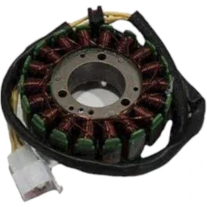 Regal Raptor DD250G-2 Sargı Statör