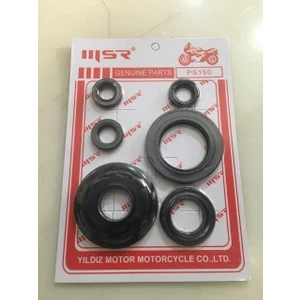 Ps 150 Motor Keçe Takımı
