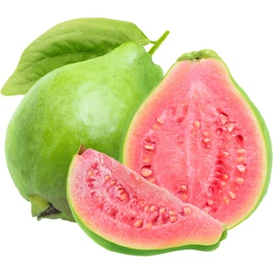 Doğan Fidancılık Guava Ağacı