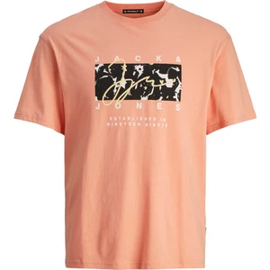 Jack & Jones Erkek T-Shirt Somon 12255517 Joraruba Aopbrandıng Tee Ss Crew Neck Ln