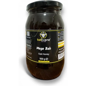 Istranca Meşe Balı 500GR [YENİ SEZON]