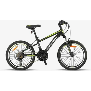 Vortex 4.0 20 Jant Çocuk Bisikleti 2024