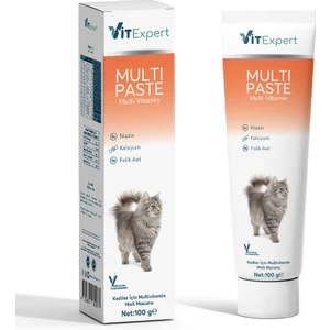 Multi Paste Tüm Kediler Için Multi Vitamin Tüy Sağlığı Destekleyici Malt Macun 100 gr